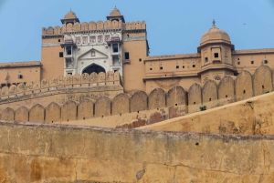 Z Delhi: Prywatna 1-dniowa wycieczka Jaipur Highlights z transferem