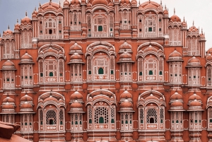 Z Delhi: Prywatna 1-dniowa wycieczka Jaipur Highlights z transferem