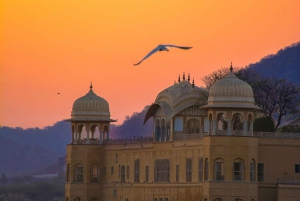 Z Delhi: Prywatna 1-dniowa wycieczka Jaipur Highlights z transferem