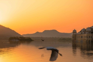 Z Delhi: Prywatna 1-dniowa wycieczka Jaipur Highlights z transferem