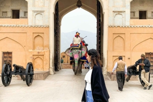 Z Delhi: Prywatna 1-dniowa wycieczka Jaipur Highlights z transferem