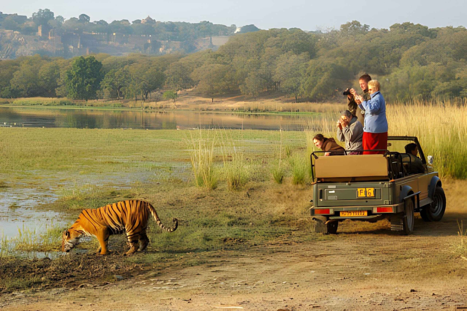 Desde Jaipur : Excursión de 2 días en coche al Safari del Tigre de Ranthambore