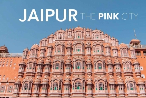 From Jaipur: 3-Day Jaipur and Ranthambore Tour with Safari