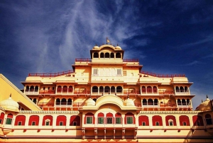 From Jaipur: 3-Day Jaipur and Ranthambore Tour with Safari