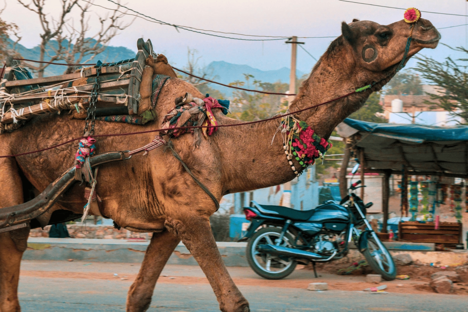 Von Jaipur aus: Ajmer Pushkar Private Tour mit Taxi und Guide