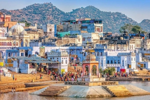Von Jaipur aus: Eintägige Tagestour von Jaipur nach Pushkar