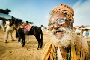 Von Jaipur aus: Eintägige Tagestour von Jaipur nach Pushkar