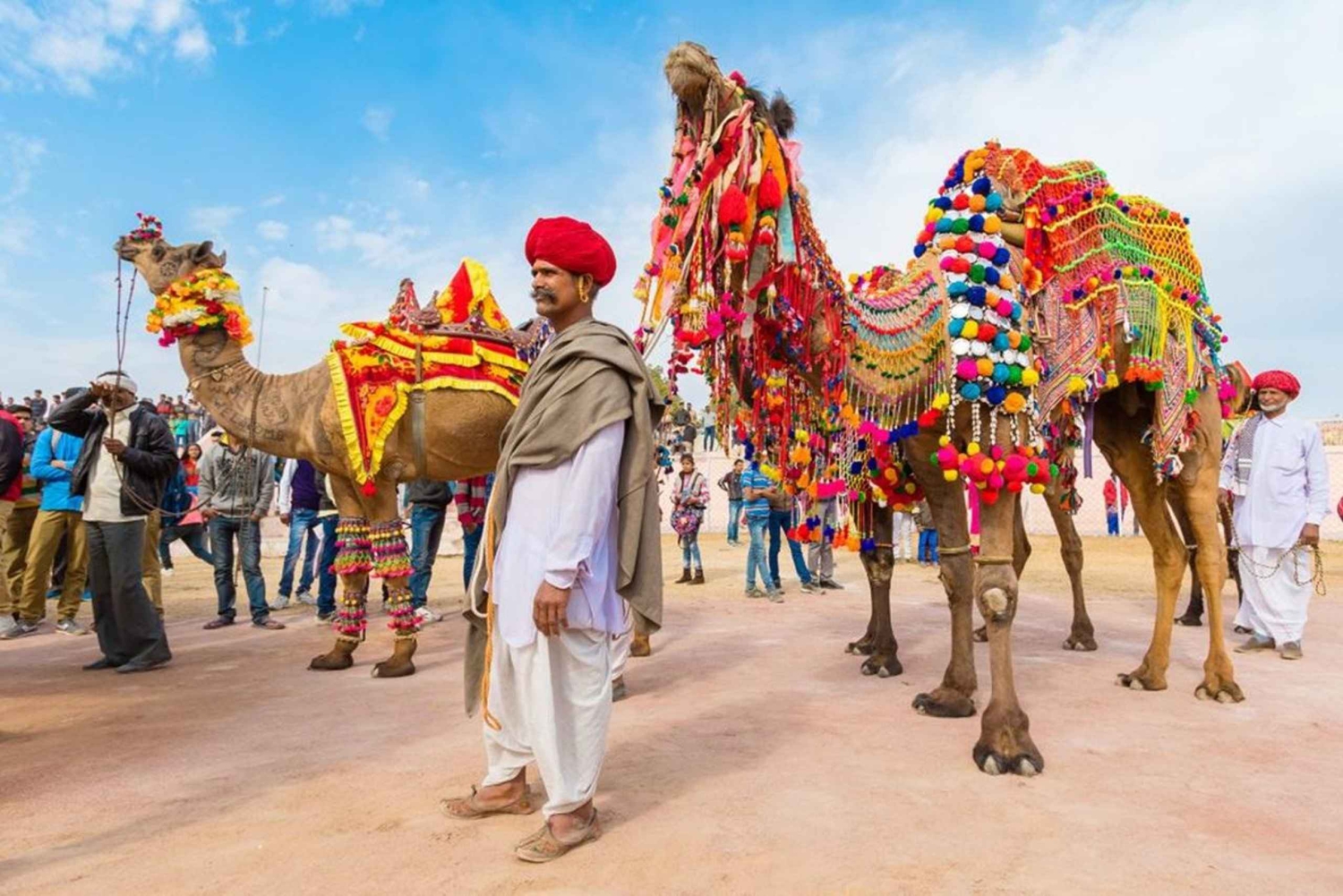 Depuis Jaipur : Excursion Privée d'une Journée à Ajmer et Pushkar