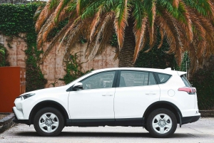 Jaipurista: yksityinen kuljetus Ranthamboreen ja Jaipuriin