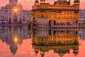 Fra Jaipur: Besøg i Pushkar og rundtur i Ajmer