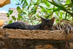 Desde Jaisalmer: Kuldhara y el Fuerte de Khaba Tour privado
