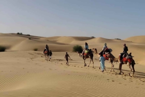 Из Джодхпура: 2 дня в Джайсалмере с туром по пустыне