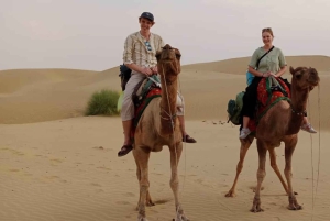 Из Джодхпура: 2 дня в Джайсалмере с туром по пустыне