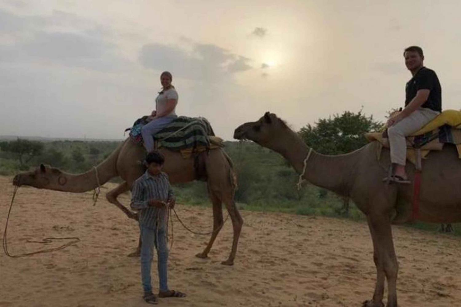 Jodhpur: Pernottamento nel deserto con Camel Safari