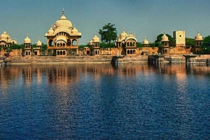 Depuis New Delhi : Excursion privée d'une journée à Jaipur avec guide local