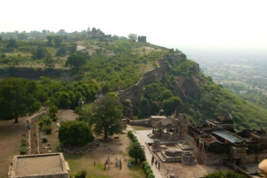 From Udaipur: Private Day Trip to Chittorgarh Fort