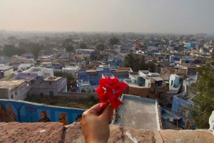 Tour a piedi della città blu del patrimonio a Jodhpur.