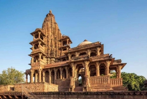 Tour a piedi della città blu del patrimonio a Jodhpur.