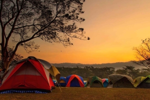 Джайпур: 8-дневный тур по наследию Раджастхана с трансферами