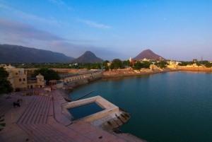 Джайпур: 8-дневный тур по наследию Раджастхана с трансферами