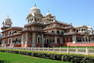 Jaipur: Guidet byvandring i Albert Hall Museum