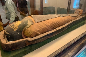 Jaipur: Guidet byvandring i Albert Hall Museum