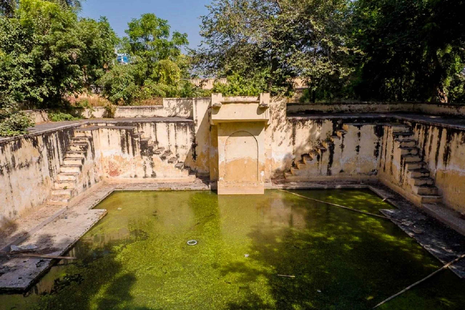 Jaipur: Chilla Baori Stepwell Swimming Class & Tour