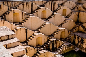 Jaipur: Chilla Baori Stepwell Swimming Class & Tour