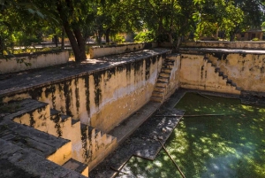 Jaipur: Chilla Baori Stepwell Swimming Class & Tour