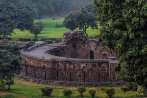 Jaipur: Chilla Baori Stepwell Swimming Class & Tour