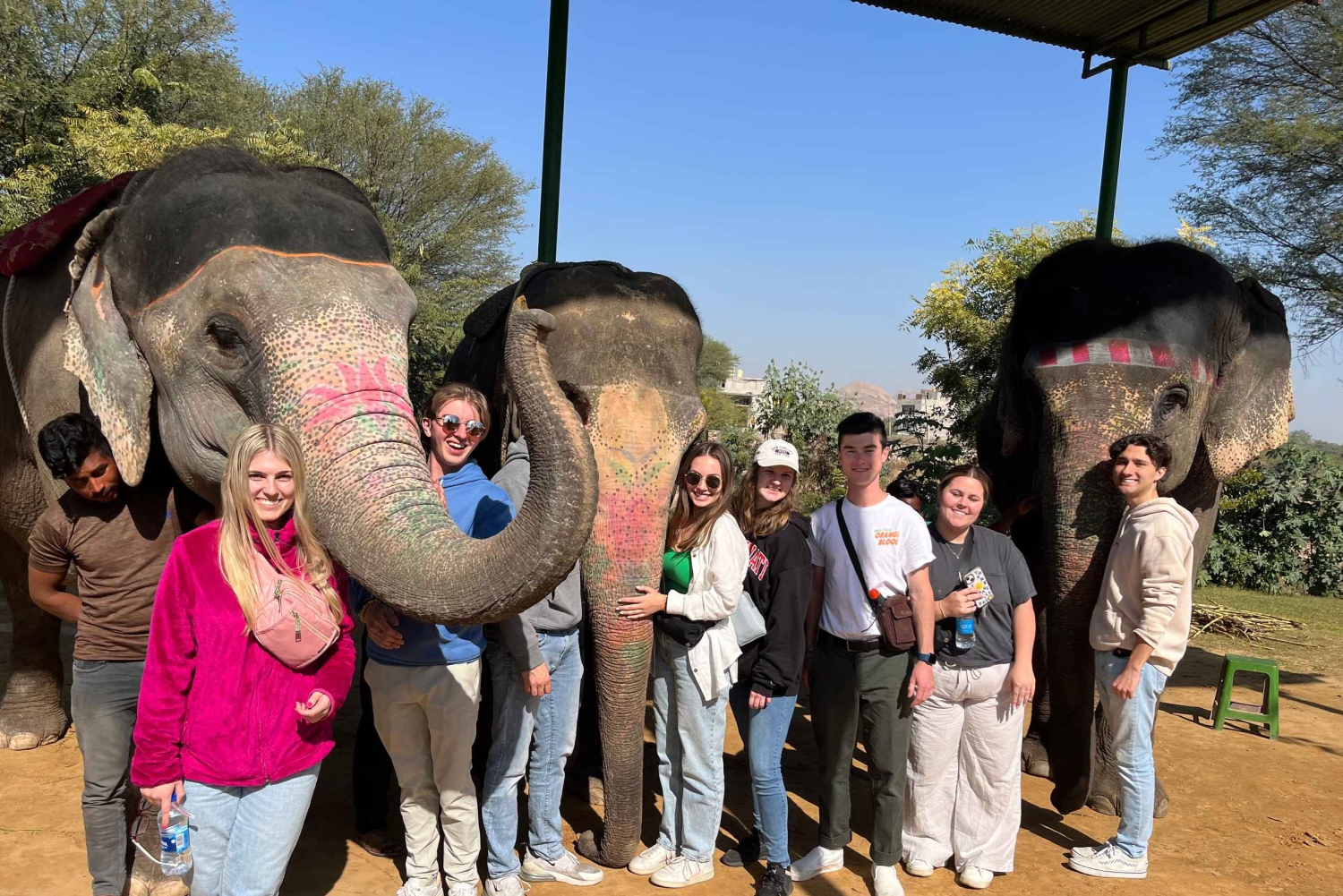 Jaipur: Byrundvisning med interaktion med elefanter