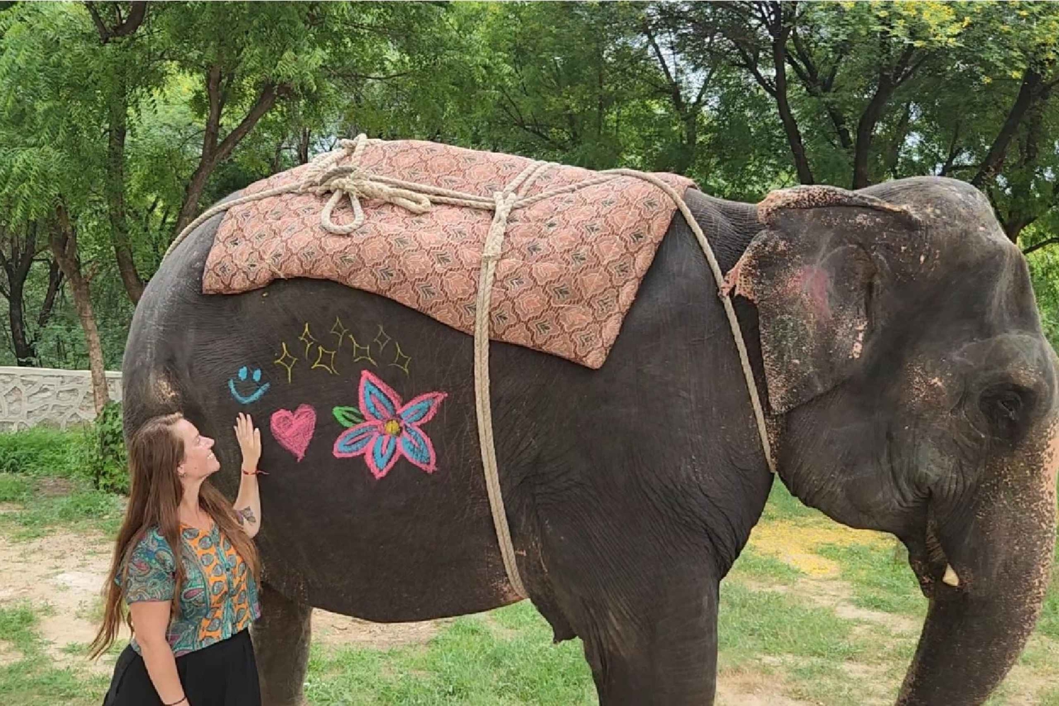 Jaipur: Elefantenbegegnung & königliche Sightseeing-Tour mit dem Auto