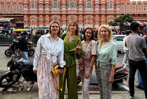 Jaipur: Ganztägige Highlight-Tour mit Tourguide