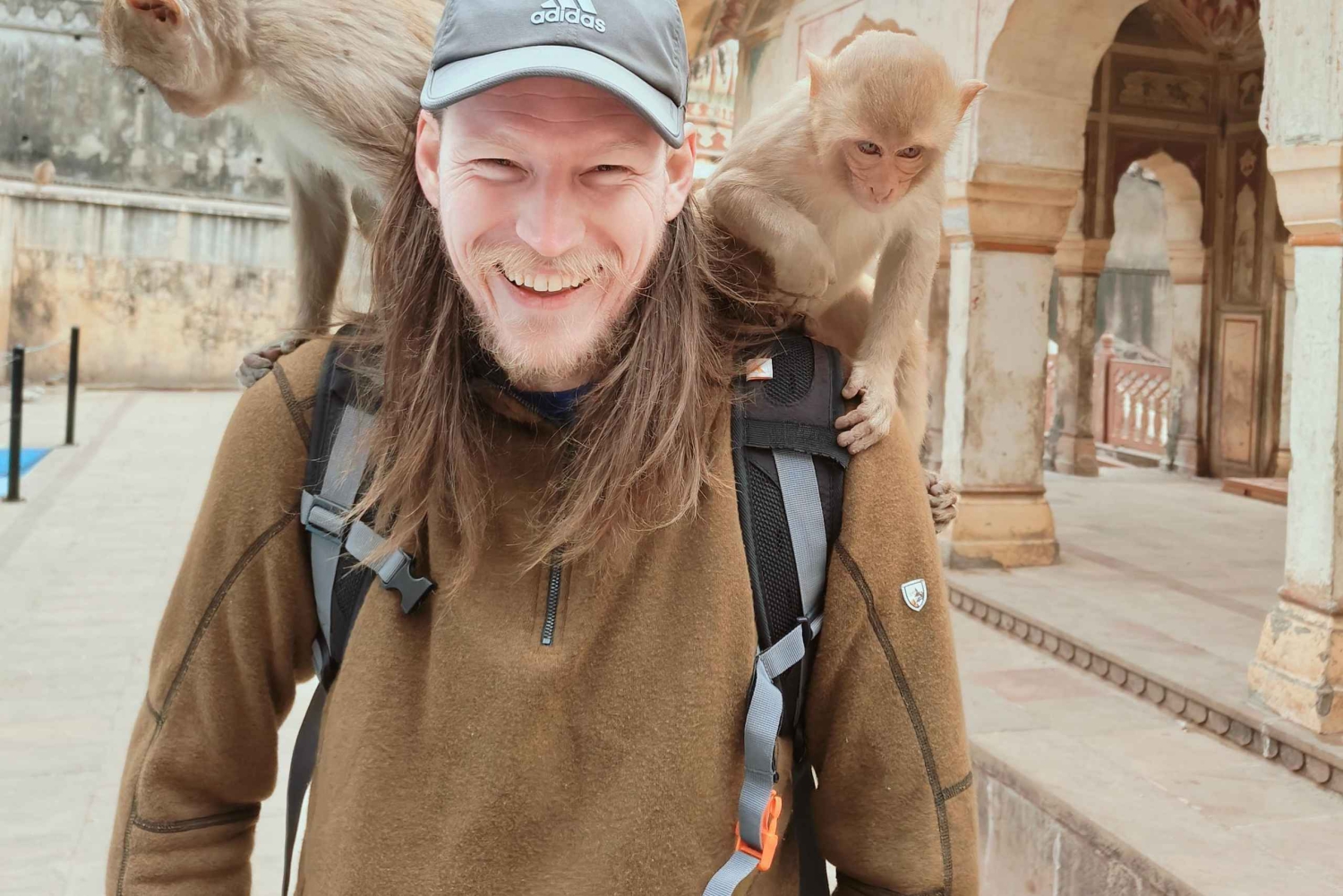 Jaipur całodniowa wycieczka po mieście z Monkey Temple samochodem AC