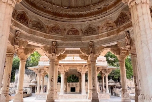 ジャイプル：車とガイド付きの終日ツアーをご案内いたします