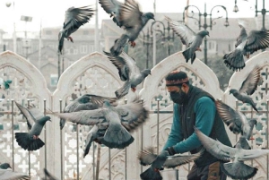 Джайпур: частная экскурсия по городу на автомобиле или тук-туке