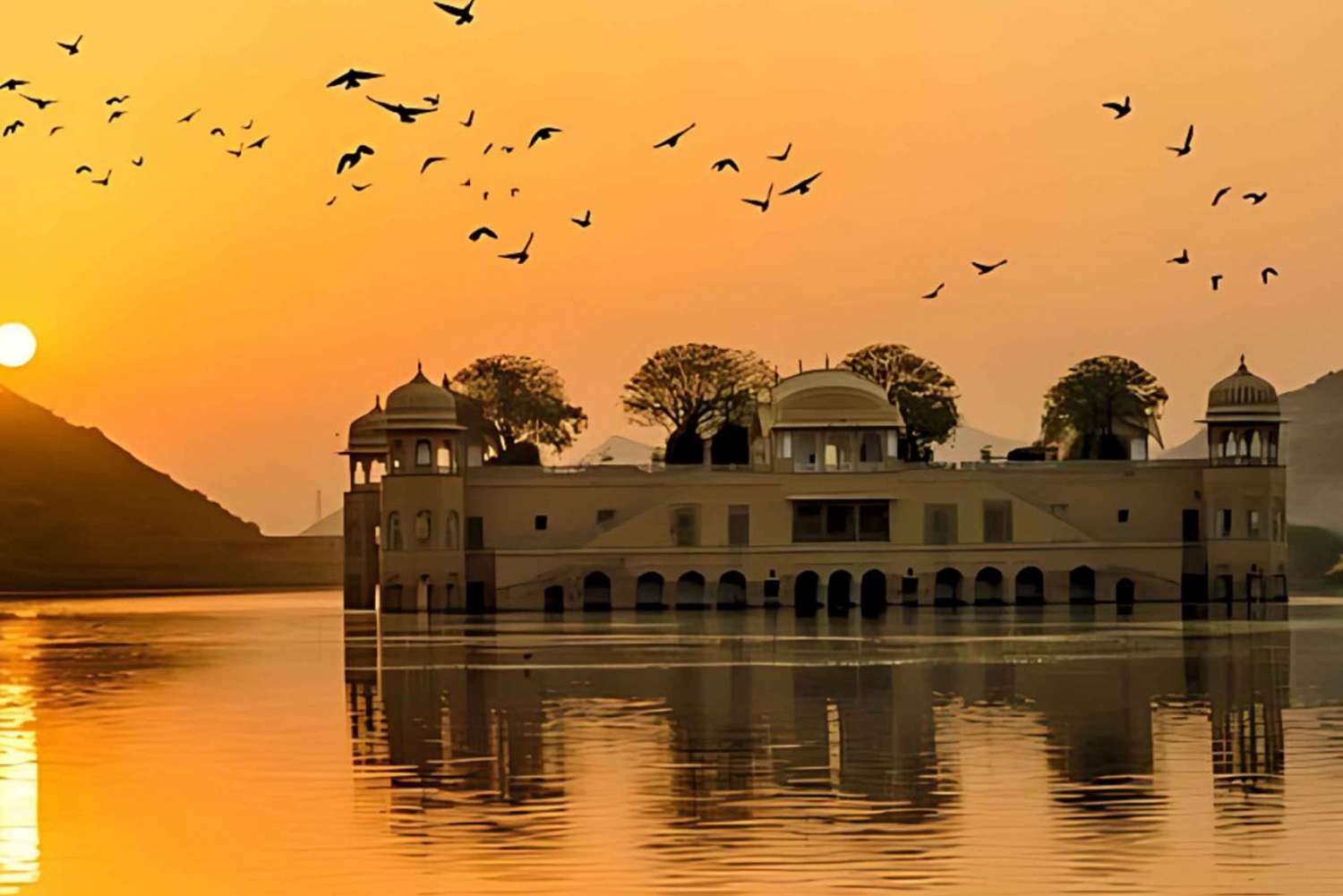 Jaipur : visite privée d'une jounée en voiture avec guide