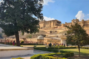 Dżajpur: zwiedzanie Fortu Jaigarh z przewodnikiem i biletem wstępu