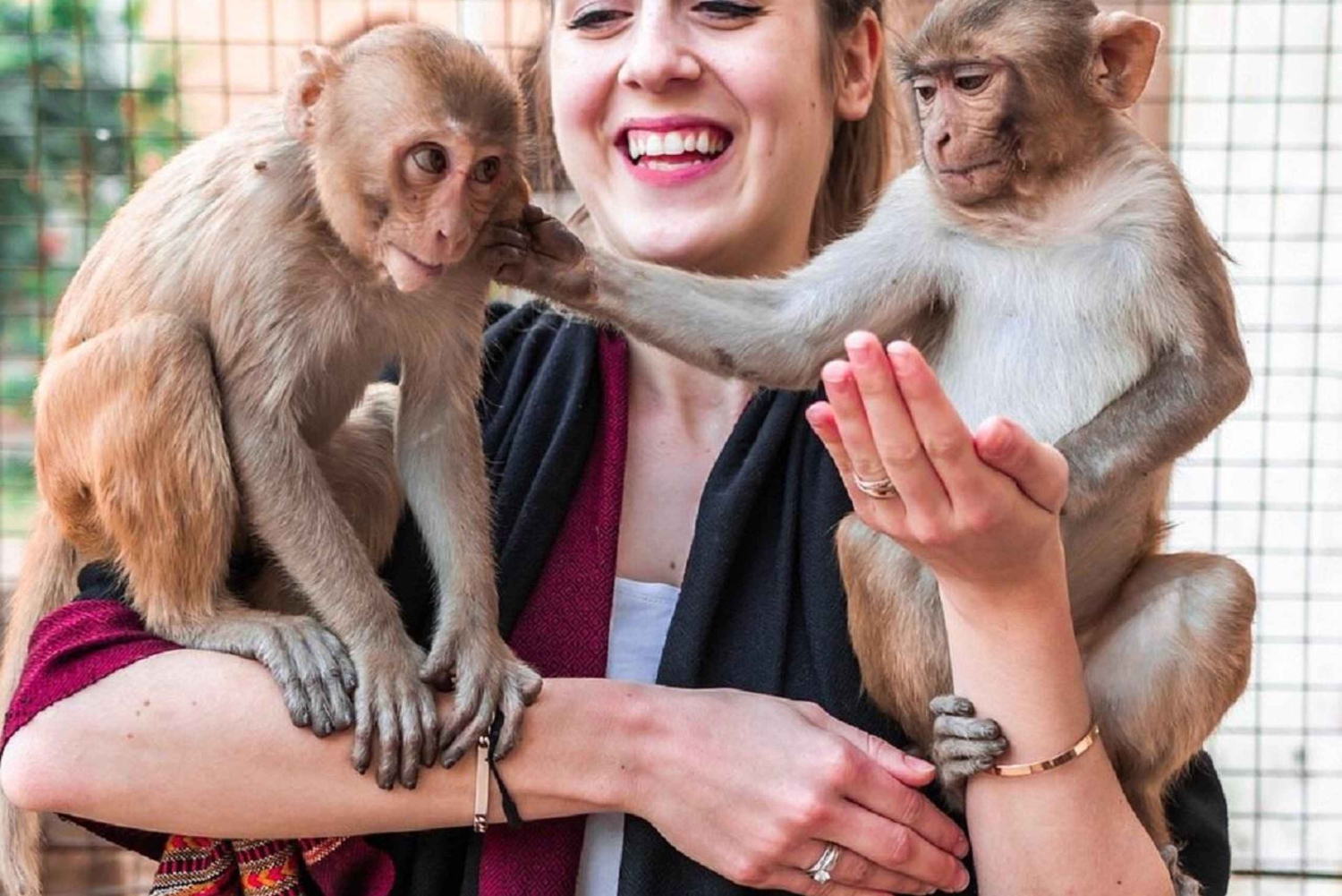 Jaipur: Ap-templet, sightseeing stadstur med bil/tuk-tuk