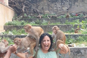 Джайпур: частная экскурсия по городу на автомобиле или тук-туке