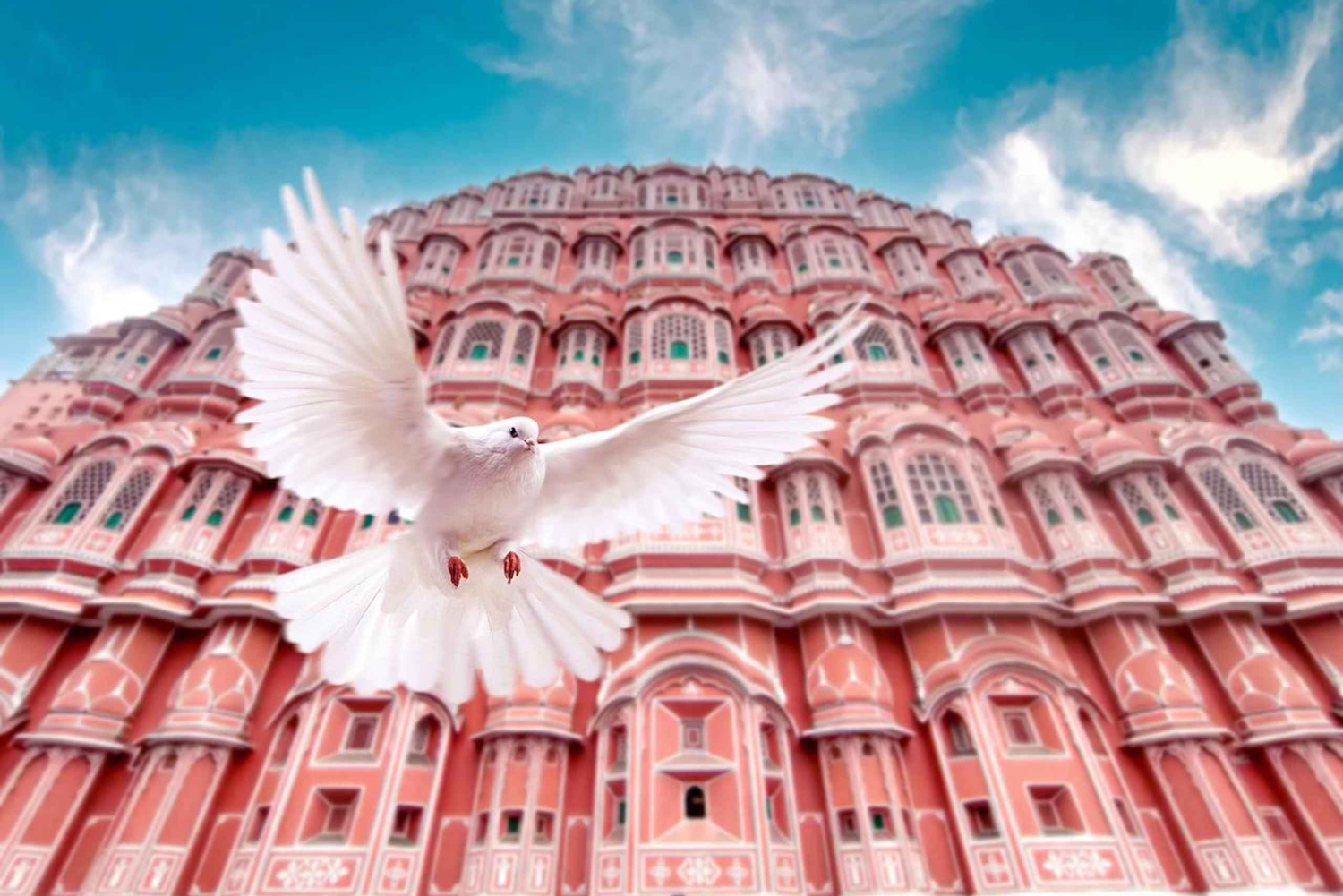 Джайпур: частная экскурсия по городу на целый день с гидом-женщиной