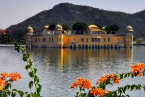 Jaipur: Private Full-Day City Tour