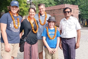 Jaipur: Private Full-Day City Tour