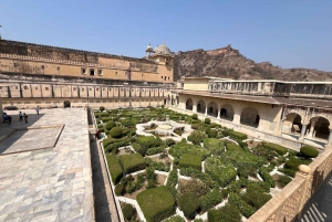 Jaipur: Private Full-Day City Tour