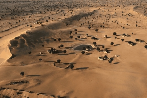 Jaipur: Excursión privada de un día al desierto de Khimsar con guía