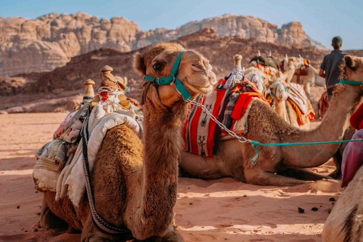 Depuis Jaipur : Excursion privée d'une journée à Pushkar et Ajmer
