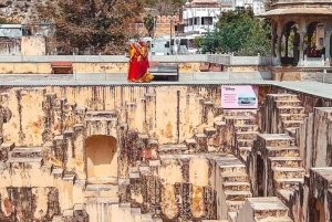 Jaipur: Royal Gems heldags privat tur med guide och AC-bil