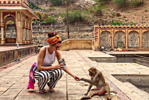 Jaipur: Royal Gems heldags privat tur med guide och AC-bil