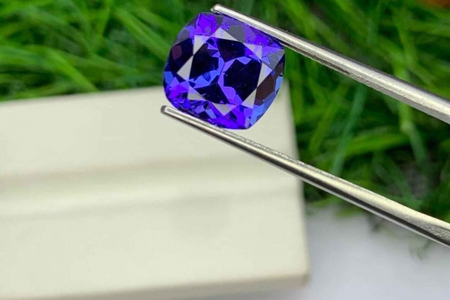 Jaipur: Sightseeing + byvandring + mad + elefantaktiviteter