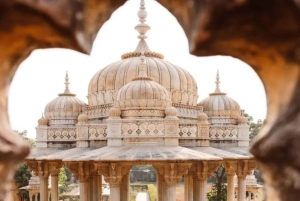 Visita turística de Jaipur con el templo de los monos (templo Galta ji)